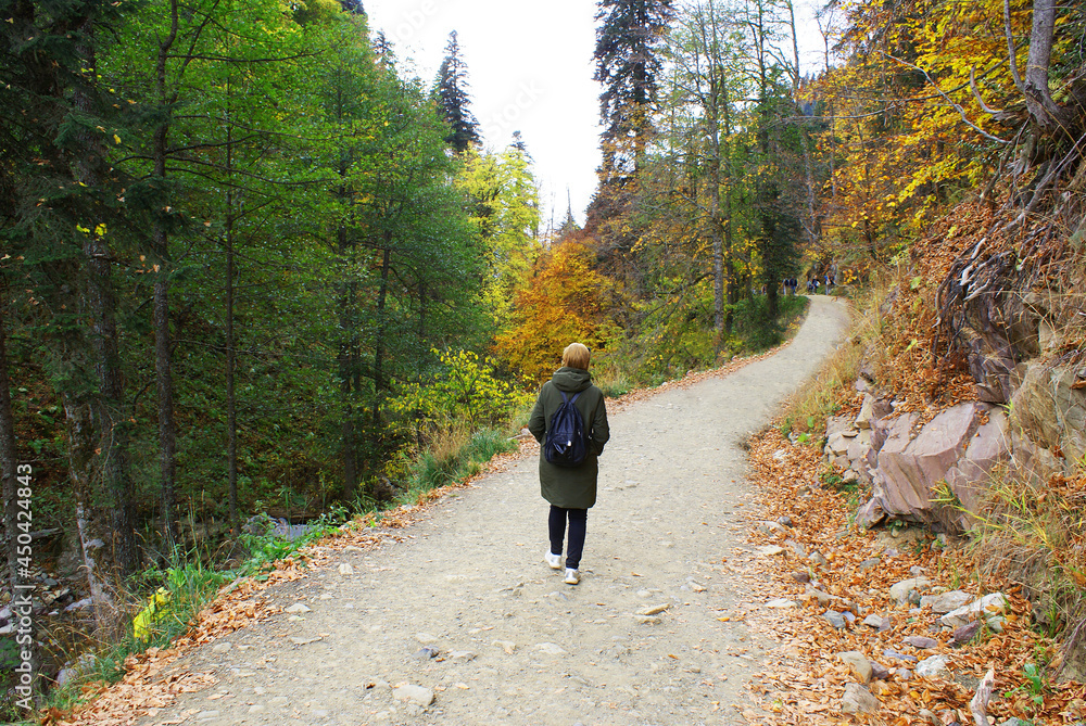 A woman walks in the park, coniferous forest, rocks, greenery. A woman walks in the park, coniferous forest, rocks, greenery.