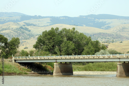 bridge with trees and river