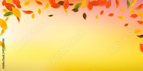 Falling autumn leaves. Red, yellow, green, brown c
