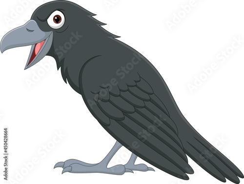 Cartoon crow isolated on white background
