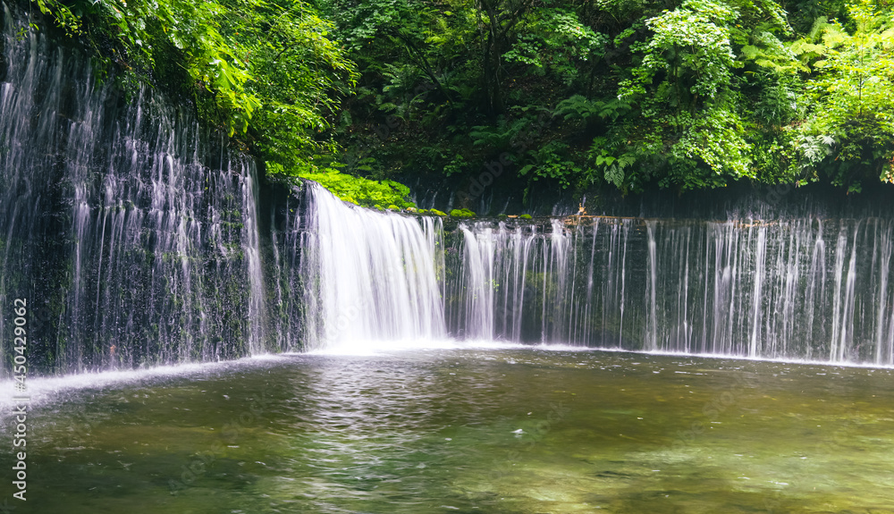 Shiraito Waterfall (Shiraito no Taki) in Karuizawa Japan, taken with slow shutter speed.  It is three meters high and 70 meters wide and is located in the forests north of downtown Karuizawa.