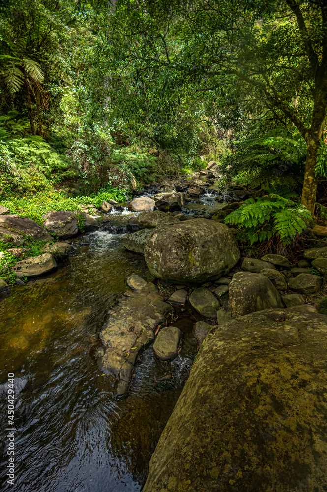 Tara River Boulders vert Tara River Boulders vert
