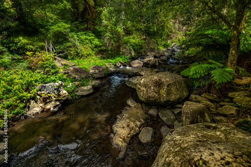 Tara River Boulders 