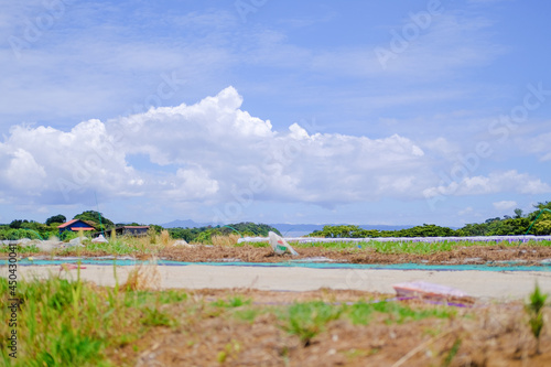 神奈川県三浦半島の風景