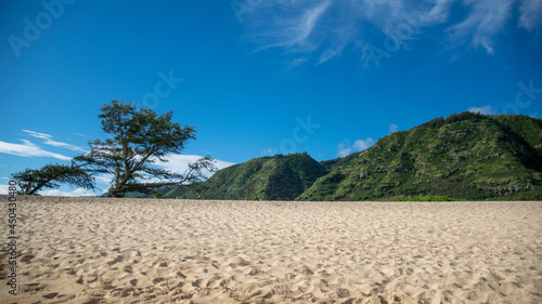 Hawaii beach with hills  tree  and blue sky