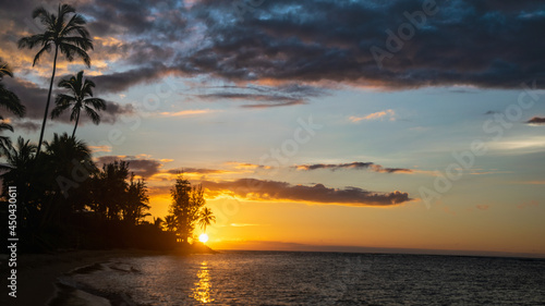 Fototapeta Naklejka Na Ścianę i Meble -  Sunset in Hawaii with palm trees and Pacific Ocean
