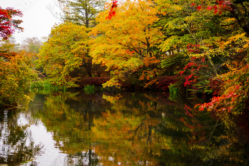 軽井沢の雲場池の紅葉