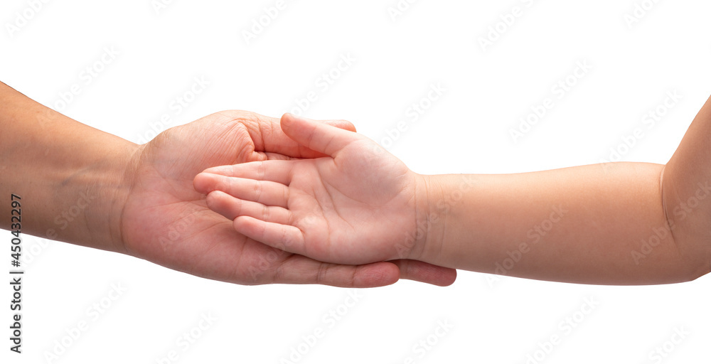 Mother and Child’s holding hands isolated on a white background, Mother and Kid hand isolated on a white background With clipping path. Mother and Child’s holding hands isolated on a white background, Mother and Kid hand isolated on a white background With clipping path.