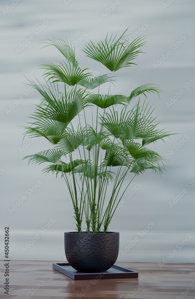 3D rendering, Green trees in a black color flower pot. Potted house plants on White background. Minimal Green 3D rendering, Green trees in a black color flower pot. Potted house plants on White background. Minimal Green