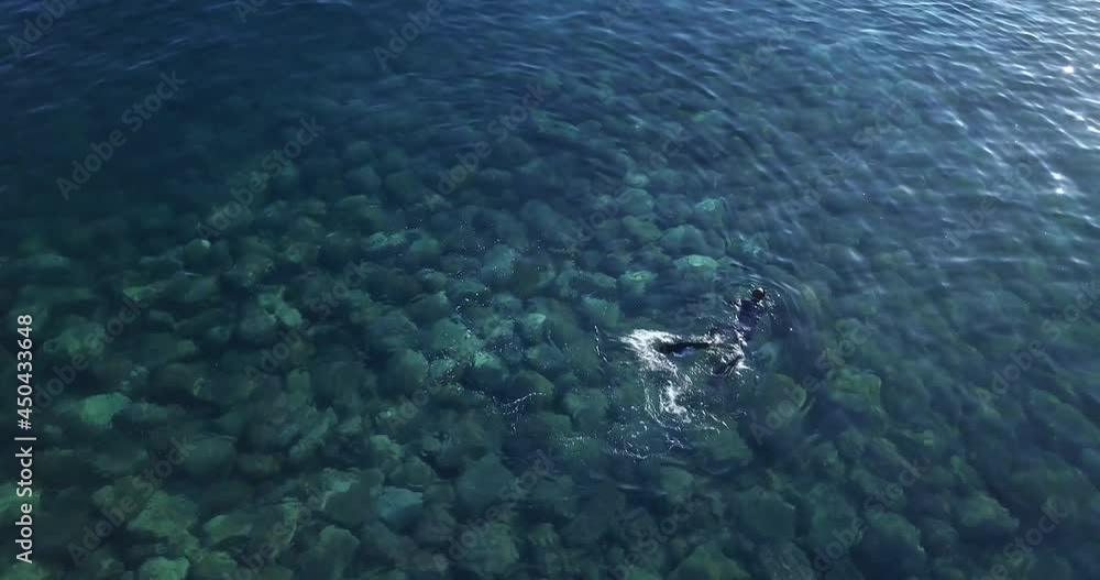 Aerial View Of Snorkeler In Clear Blue Sea With Rocky Seabed In Madalena do Mar, Madeira, Portugal. Aerial View Of Snorkeler In Clear Blue Sea With Rocky Seabed In Madalena do Mar, Madeira, Portugal.