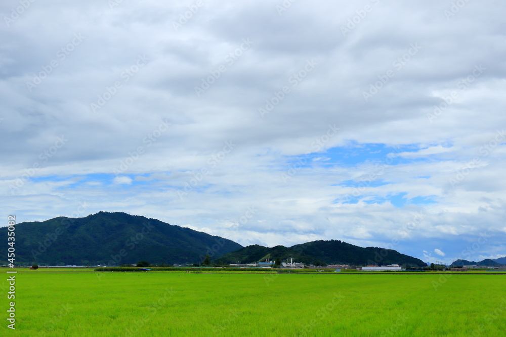 湖東の田園風景