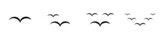 Conjunto de icono de ave de paisaje. Concepto de pájaro volando. Ilustración vectorial