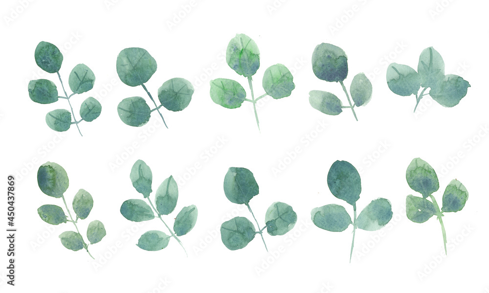Obraz premium Set of green rose leaves on white background, watercolor hand paint