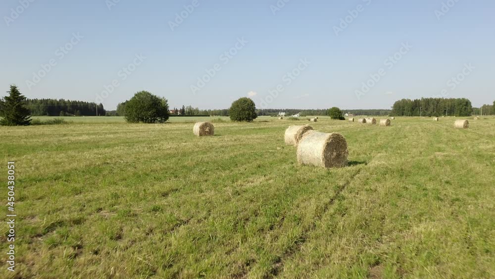 Low aerial flight close to round haybales on a large green grassy field with blue skies and trees in the background Low aerial flight close to round haybales on a large green grassy field with blue skies and trees in the background