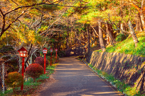Autumn in Japan. Sunny autu...