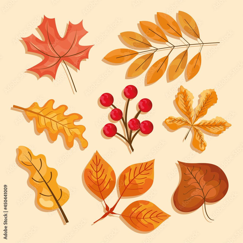 icons of autumn leaves