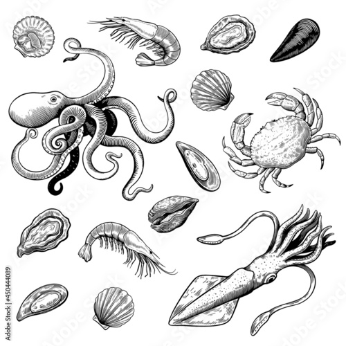 Seafood in hand drawn woodcut style in black and white colors, mollusks, shrimps and crab.