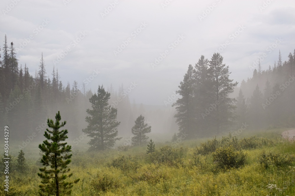 fog in the mountains