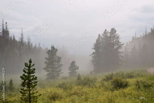 fog in the mountains © Tonya Hance