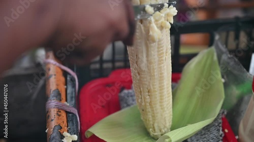 Cutting a corn in a traditional way photo