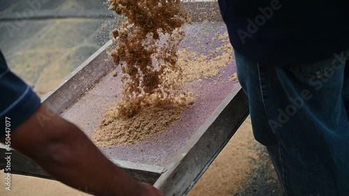 a Handmade sawdust for artesanal carpet in a mexican patronal party photo