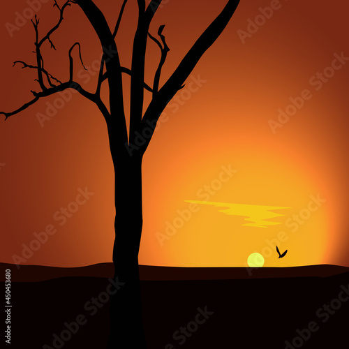 sunsetLandscape with sunset Silhouette of a tree in the looming darkness.