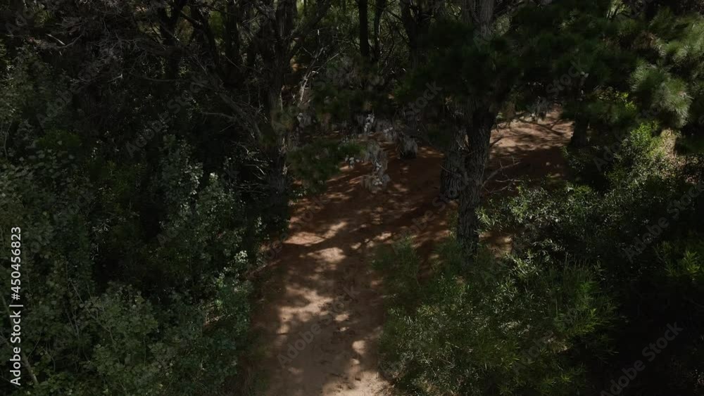 Drone ascends and rotates over a path through the forest. Drone ascends and rotates over a path through the forest.