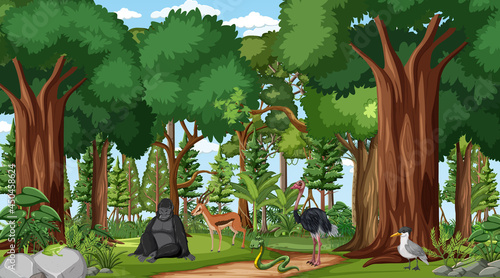 Forest scene with different wild animals