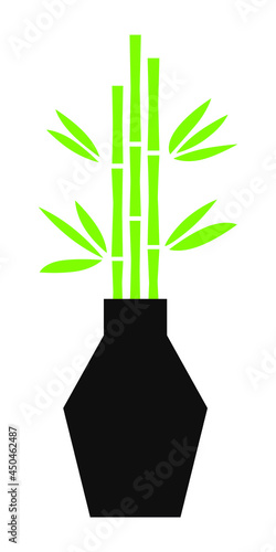 green bamboo plant