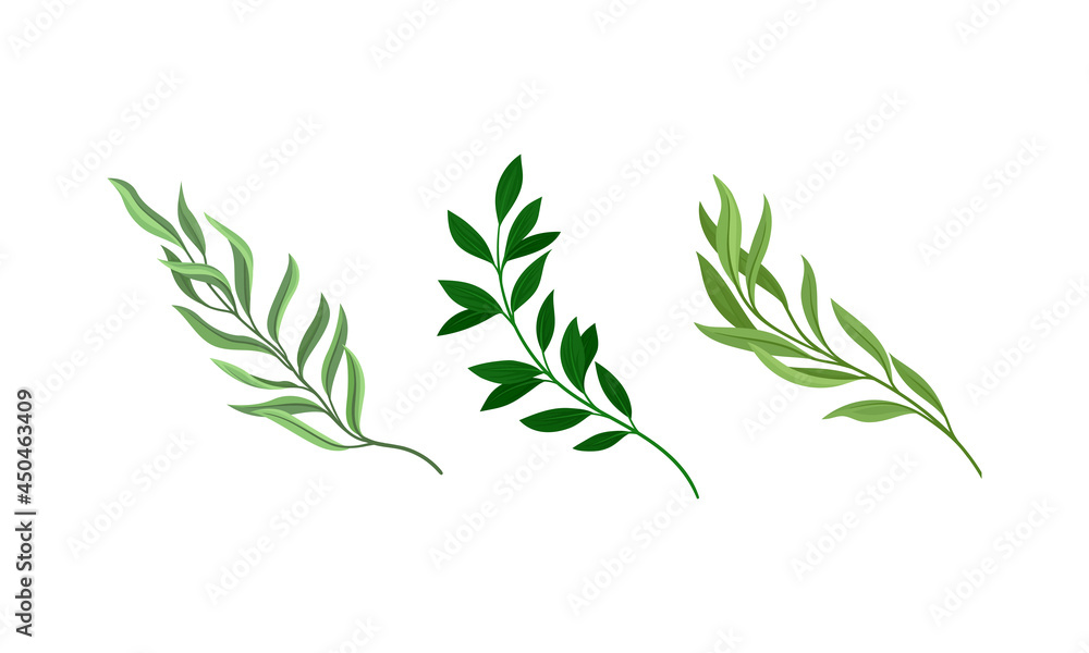 Tree branches with fresh green leaves set. Twigs of different trees cartoon vector illustration Tree branches with fresh green leaves set. Twigs of different trees cartoon vector illustration