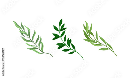 Tree branches with fresh green leaves set. Twigs of different trees cartoon vector illustration