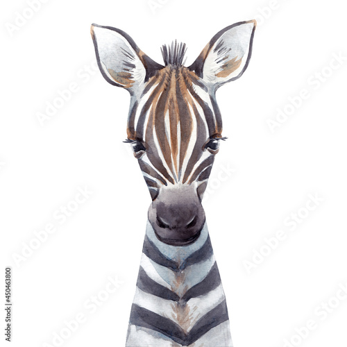 Beautiful animal portrait with hand drawn watercolor cute baby zebra. Stock illustration