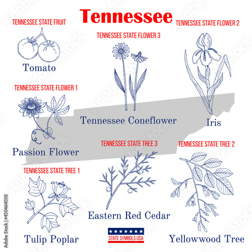 Tennessee. Set of USA official state symbols