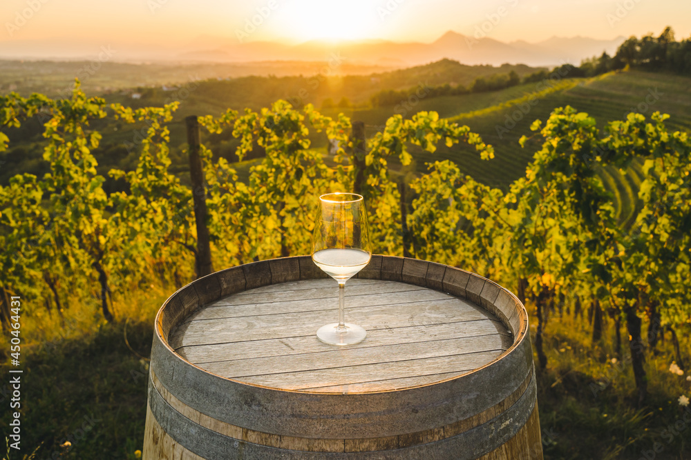 Glass of white wine on wooden wine barrel in the vineyards at susnset