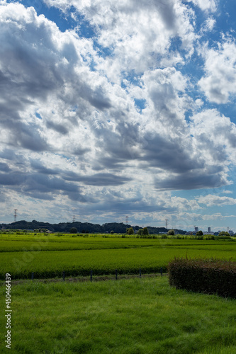 青空と雲と田んぼの風景 © Mitsuo Iwaki