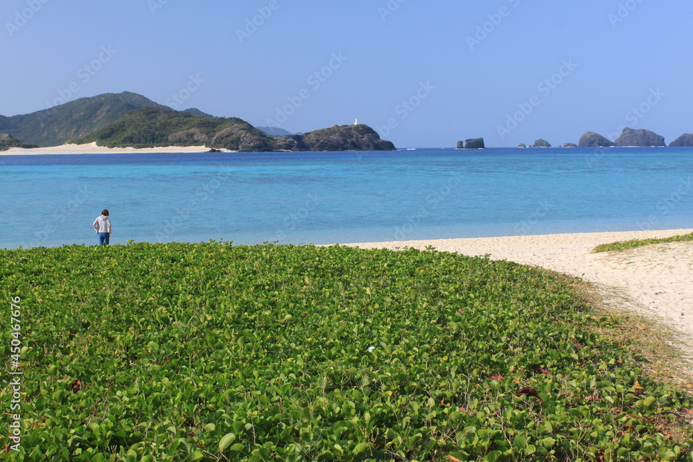 沖縄のビーチと島々