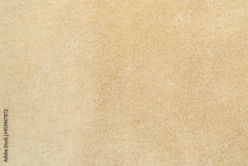 Beige wool seamless texture background. texture with short factory wool.