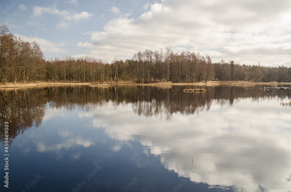 Pond with reflection on a sunny spring day. Pond with reflection on a sunny spring day.