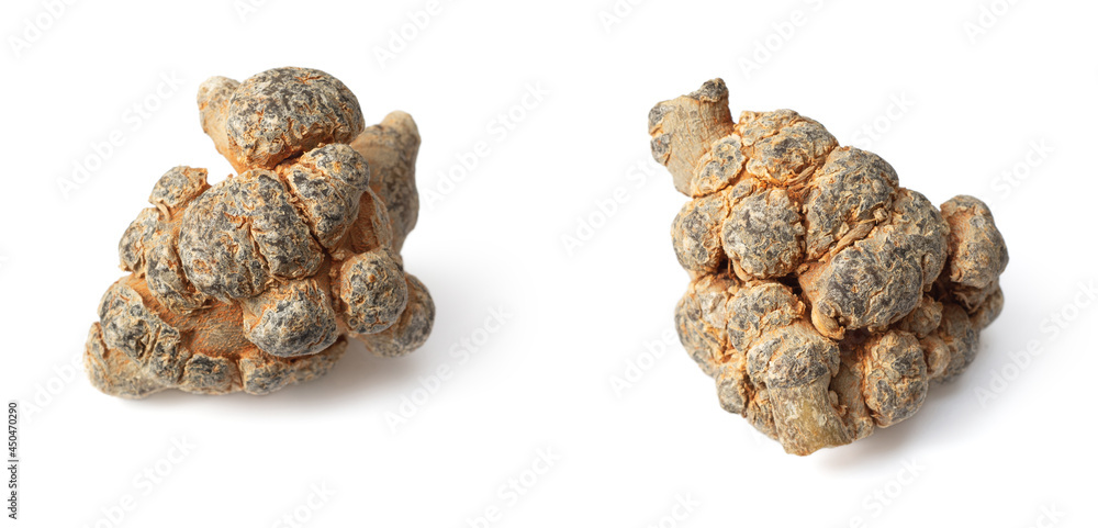dried panax notoginseng isolated on whtie background dried panax notoginseng isolated on whtie background