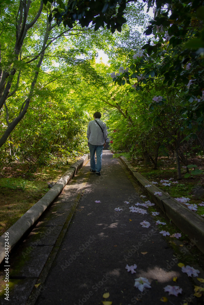 Man walking through a concrete path covered by flowers