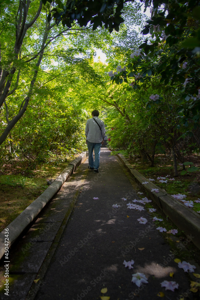 Man walking through a concrete path covered by flowers Man walking through a concrete path covered by flowers