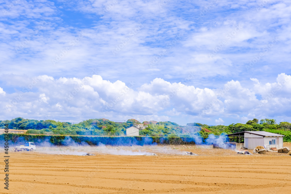 Fototapeta premium 神奈川県三浦半島の風景
