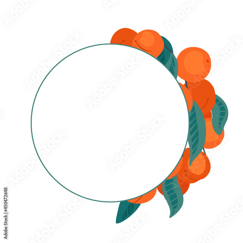 Semicircular frame with peach, apricot, foliage, stems and place for text. Circle border with summer cartoon sweet berries for the menu. Vector flat template with fruits, leaves and copy space