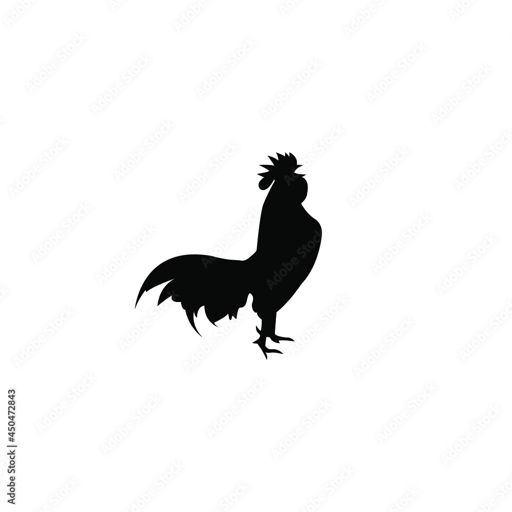 Obraz premium rooster isolated on white background