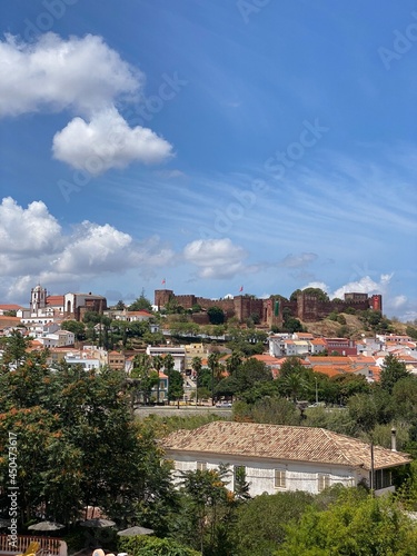 Castelo de Silves © xuizy