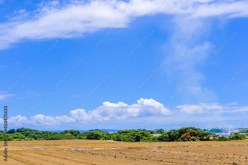 神奈川県三浦半島の風景