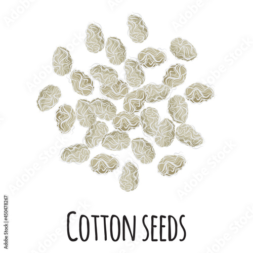 Cotton seeds for template farmer market design, label and packing. Natural energy protein organic super food. photo