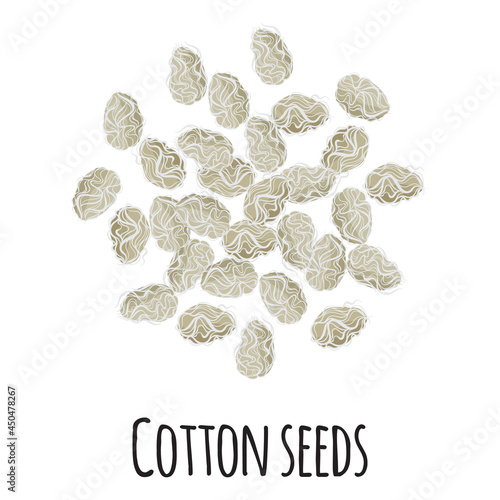 Cotton seeds for template farmer market design, label and packing. Natural energy protein organic super food.