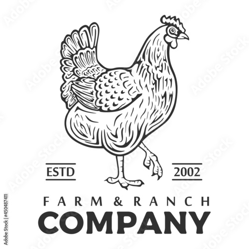 vector logotype of chicken farm with silhouette of bird isolated in white background. vintage logo illustration