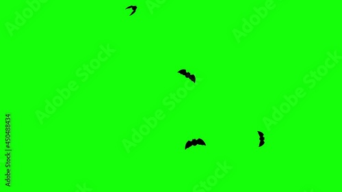 Halloween motif flying bats animation movie (chroma key background)